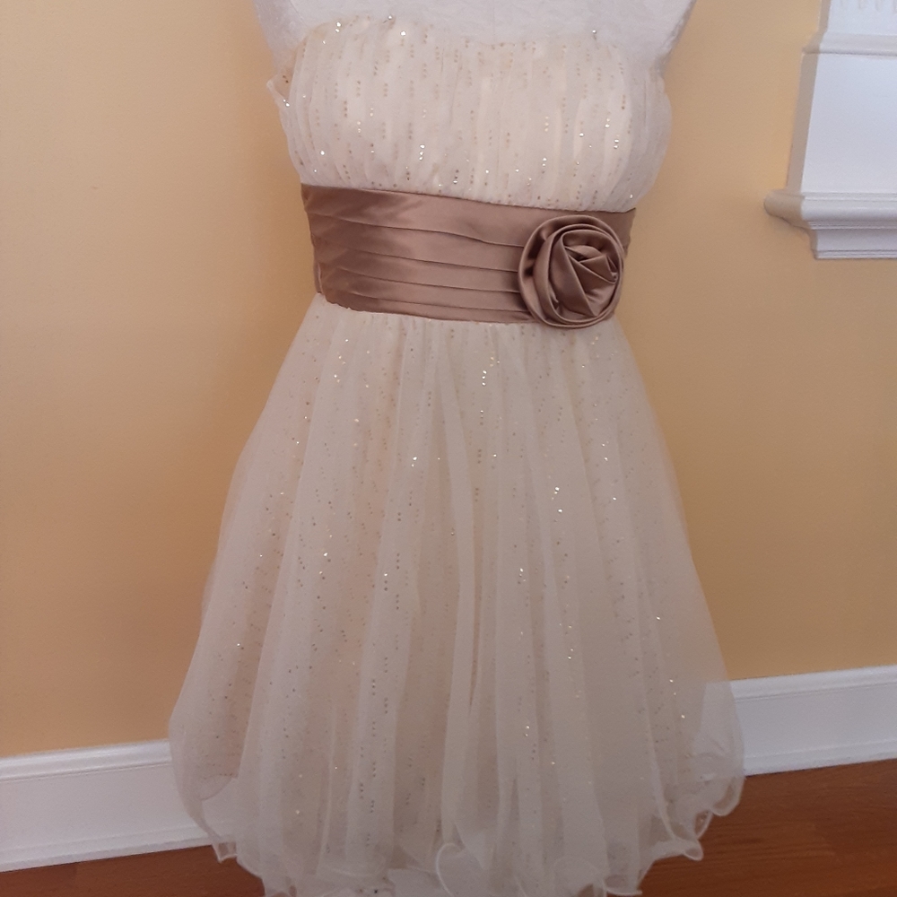 Homecoming/Prom Dress